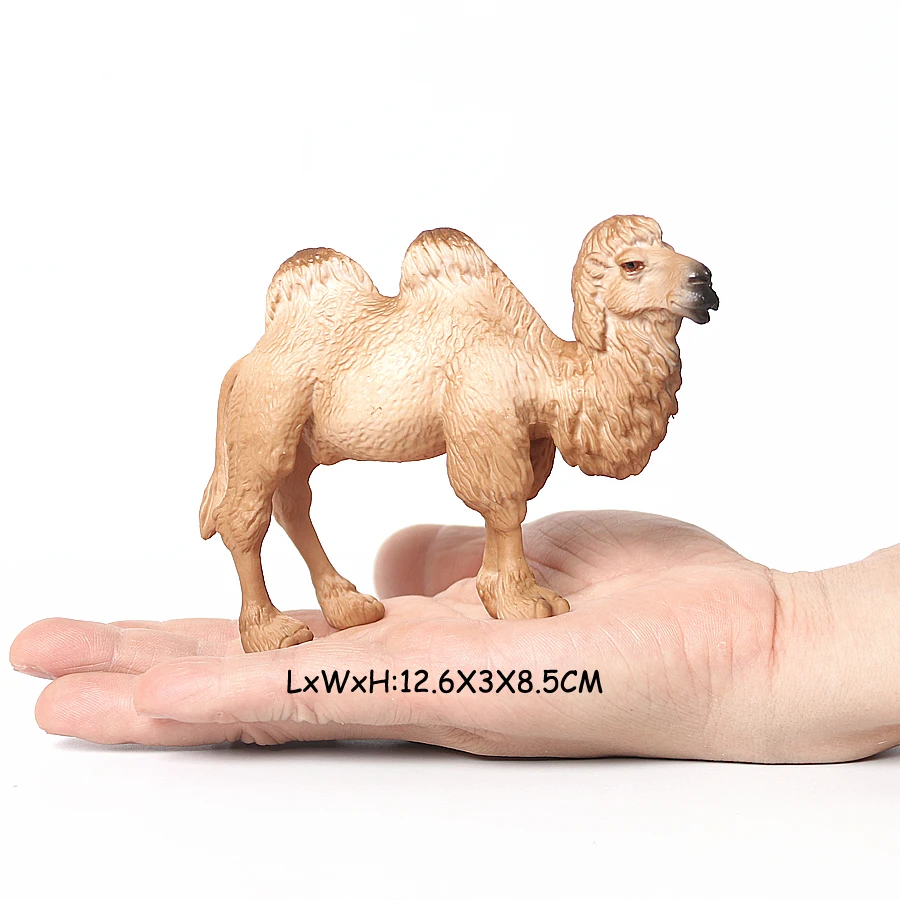 Realistic White Alpaca Llama Figurine – Cute Camel Model for Desk Decor & Educational Play - Image 13