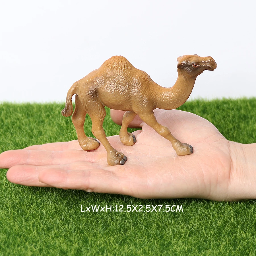 Realistic White Alpaca Llama Figurine – Cute Camel Model for Desk Decor & Educational Play - Image 8