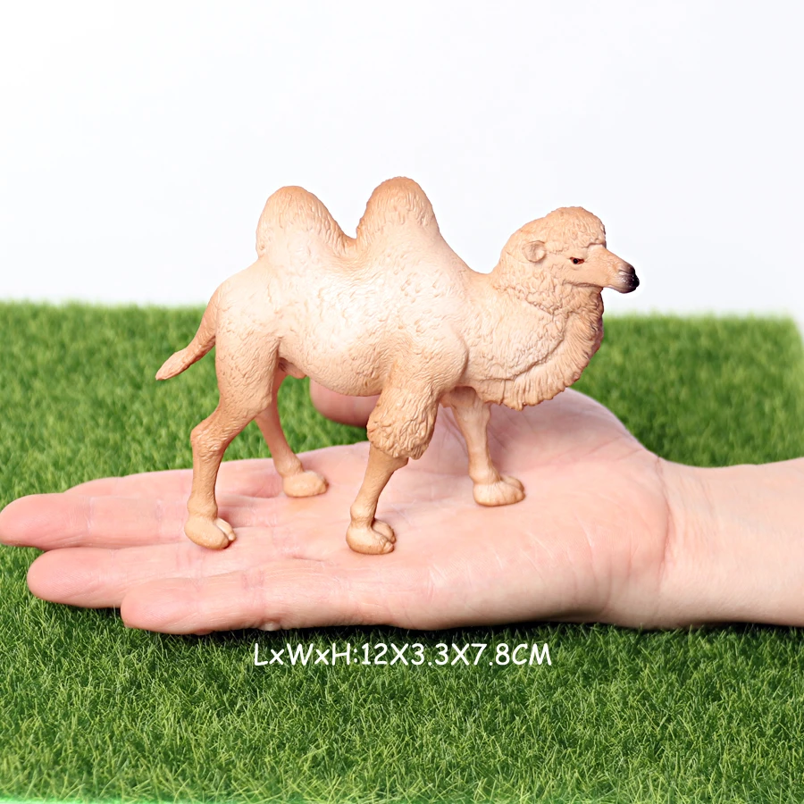 Realistic White Alpaca Llama Figurine – Cute Camel Model for Desk Decor & Educational Play - Image 12