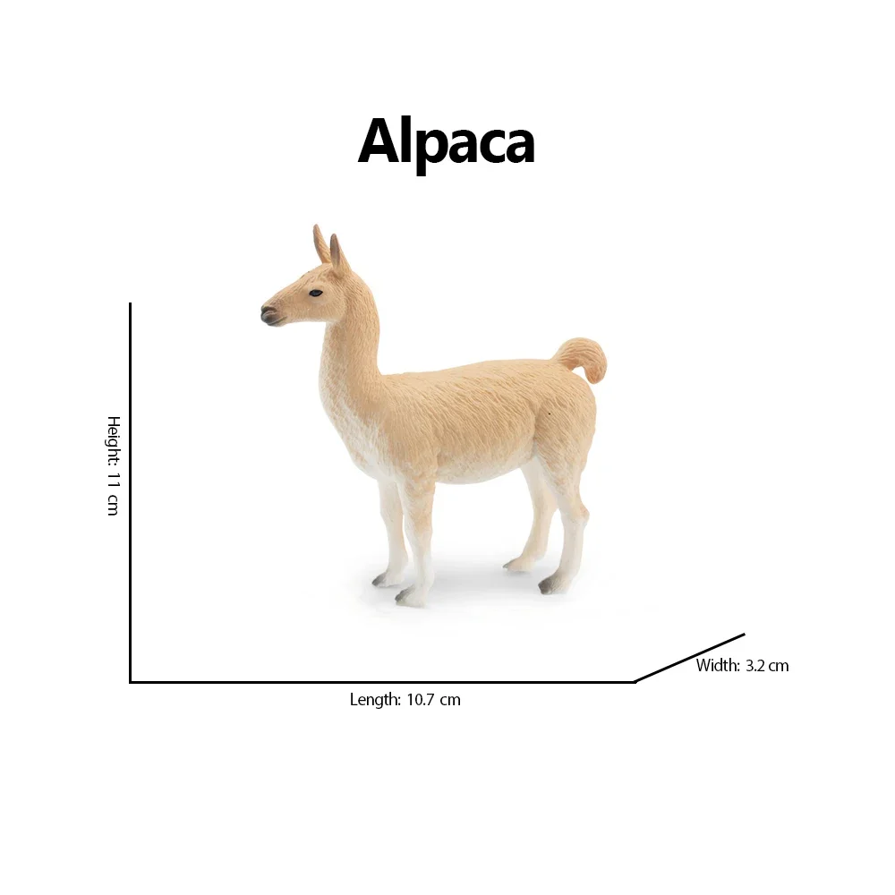 Realistic White Alpaca Llama Figurine – Cute Camel Model for Desk Decor & Educational Play - Image 19