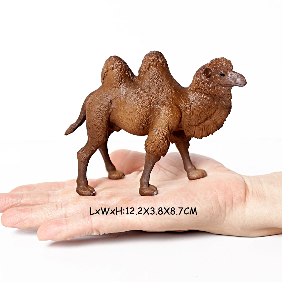 Realistic White Alpaca Llama Figurine – Cute Camel Model for Desk Decor & Educational Play - Image 11