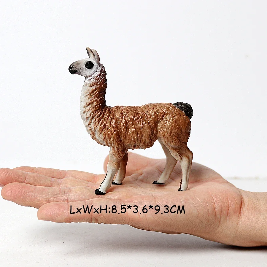 Realistic White Alpaca Llama Figurine – Cute Camel Model for Desk Decor & Educational Play - Image 22