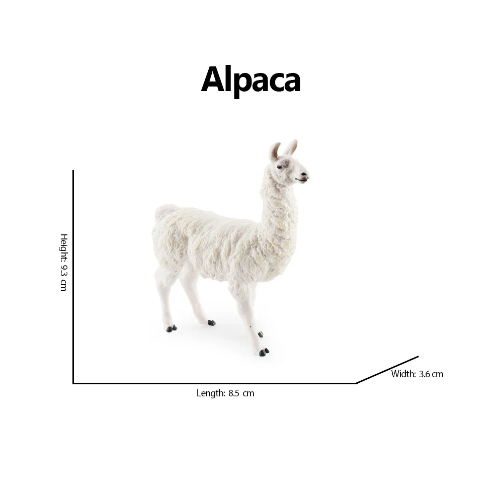 Realistic White Alpaca Llama Figurine – Cute Camel Model for Desk Decor & Educational Play - Image 17