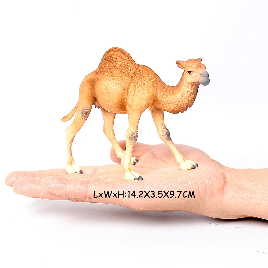 Realistic White Alpaca Llama Figurine – Cute Camel Model for Desk Decor & Educational Play - Image 23