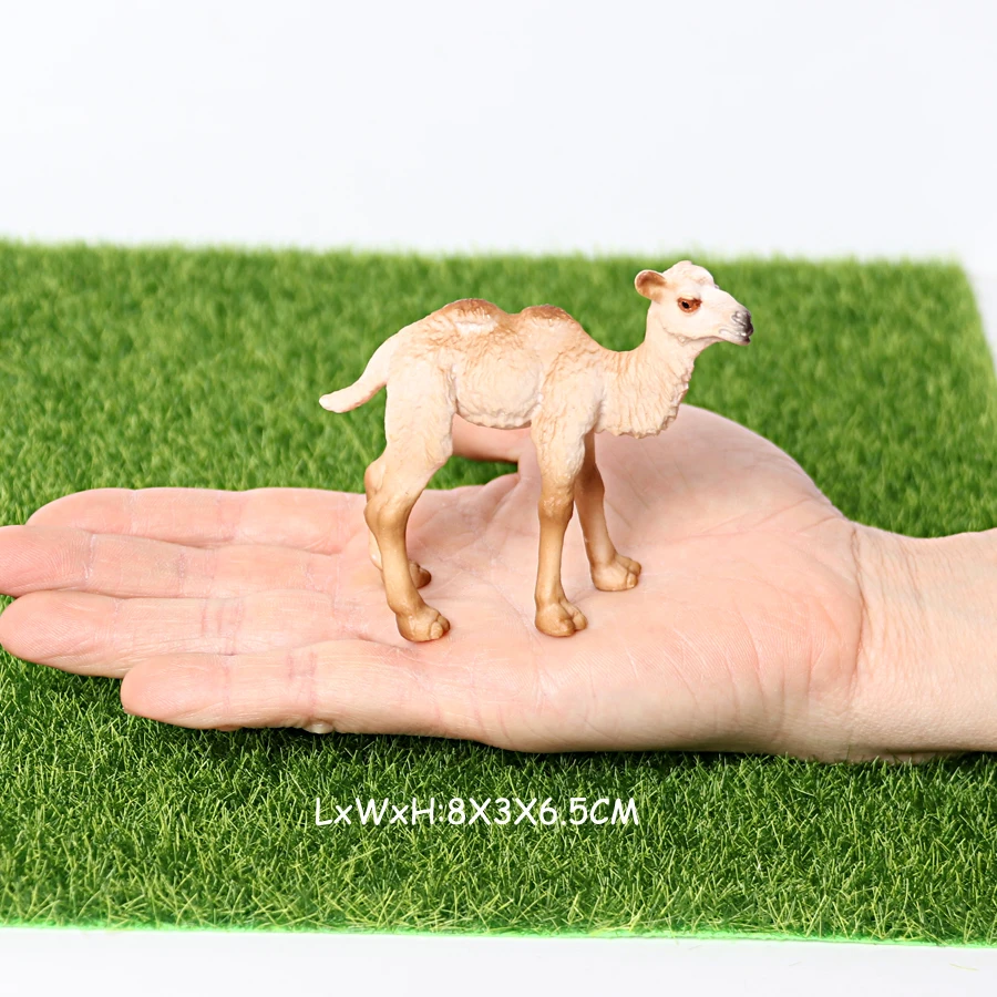 Realistic White Alpaca Llama Figurine – Cute Camel Model for Desk Decor & Educational Play - Image 25