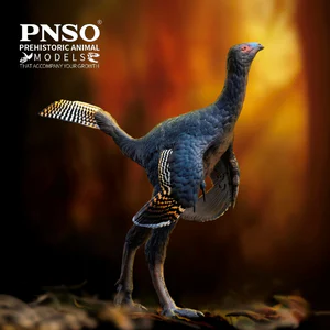 PNSO Prehistoric Animal Models – Junlang the Caudipteryx – Feathered Dinosaur Figure