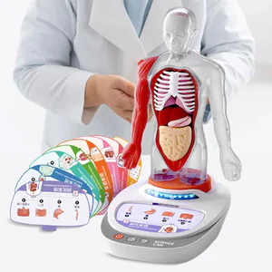 Human Body Model for Kids Teaching Aid Rotatable Model Human Body Puzzle Kits for Kids for Study Class Students Preschool Child