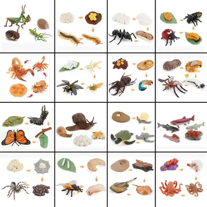 Animal Life Cycle Board Children Toys Montessori Teaching Aids Plant Animal Growth Cycle Model Set preschool cognitive Toys